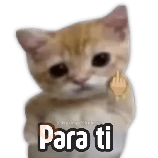 💢👊🏻😡 Enojados pal CHAT 👊🏻😡💢 sticker 12