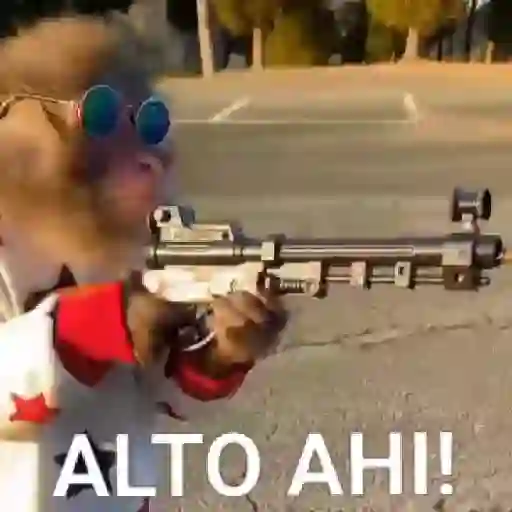 Monos y changuitos ⁶🐒🦍🦧