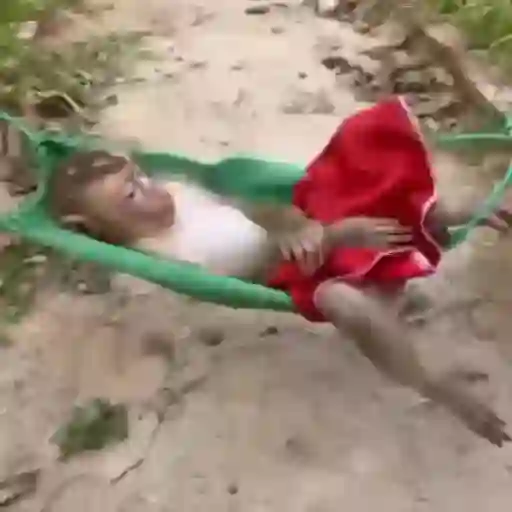 Monos y changuitos ⁶🐒🦍🦧