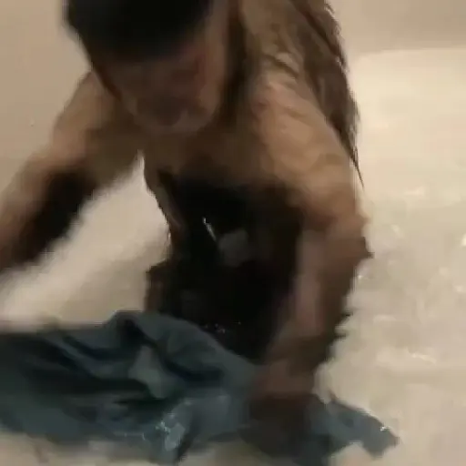 Monos y changuitos ⁶🐒🦍🦧