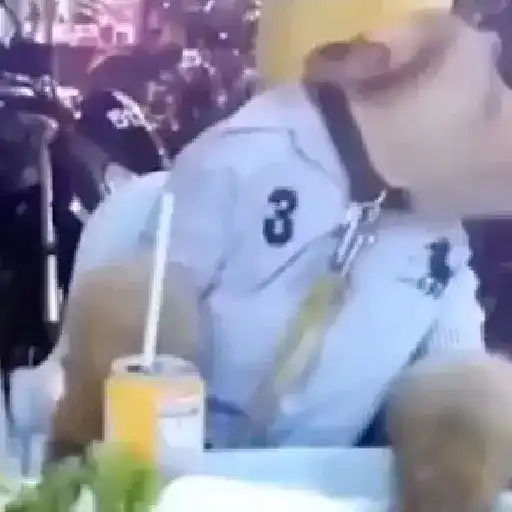 Monos y changuitos ⁶🐒🦍🦧