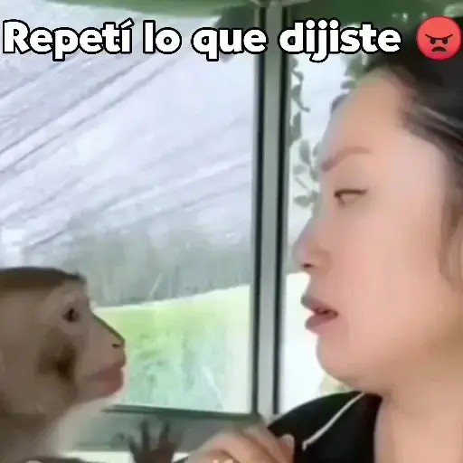 Monos y changuitos ⁶🐒🦍🦧