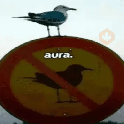 Shit post | memes sticker 18