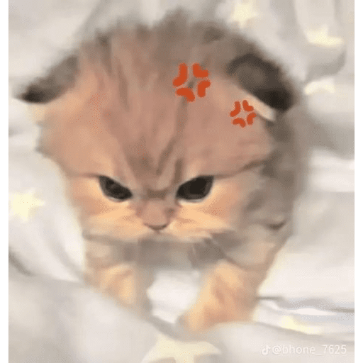 KUCING ANGRY😡😡 preview