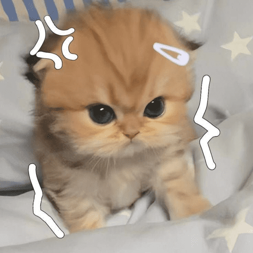 KUCING ANGRY😡😡 preview