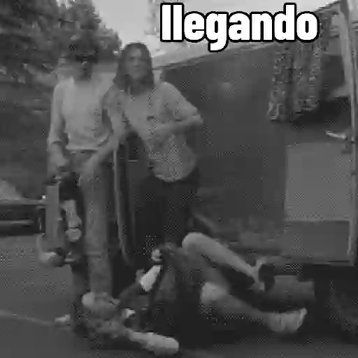 memes Pal finde..👑 preview