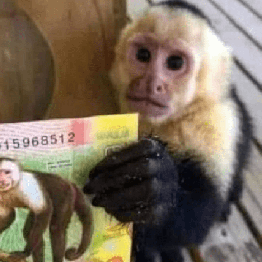 🍌 🐒 Monos Monitos🐒🍌 preview