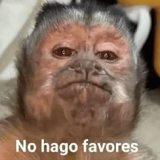 🍌 🐒 Monos Monitos🐒🍌