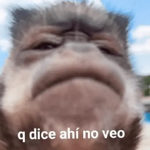 🍌 🐒 Monos Monitos🐒🍌