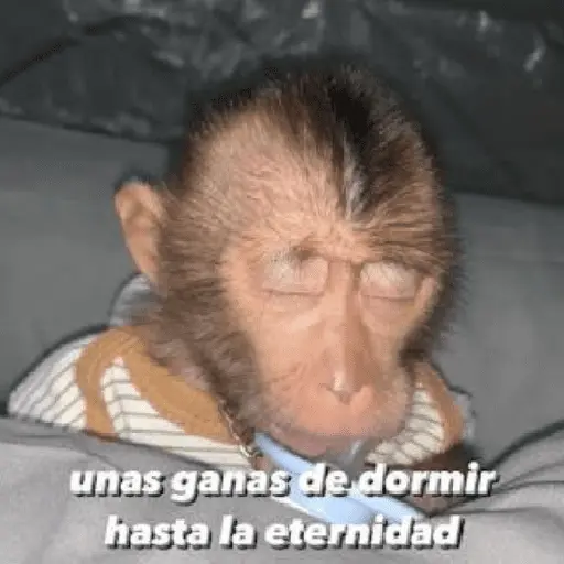 🍌 🐒 Monos Monitos🐒🍌