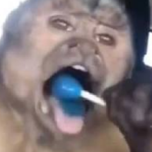🍌 🐒 Monos Monitos🐒🍌 preview