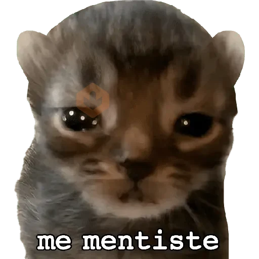 Michis caóticos ⚡😼⚡ sticker 15