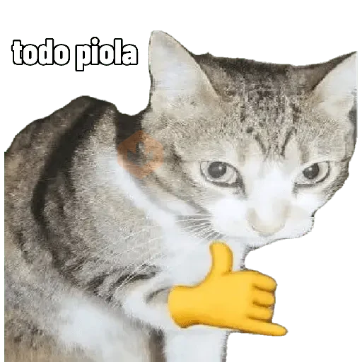 Michis caóticos ⚡😼⚡ sticker 12