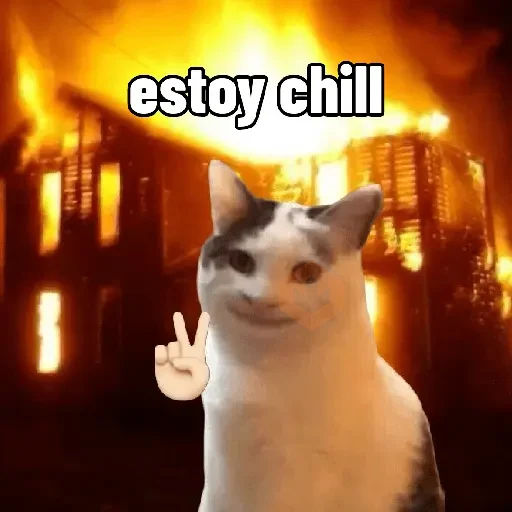 Michis caóticos ⚡😼⚡ sticker 16