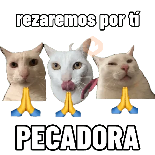 Michis caóticos ⚡😼⚡ sticker 13