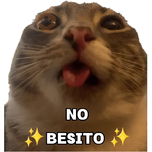 Michis caóticos ⚡😼⚡ sticker 14