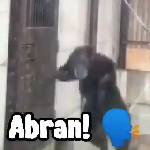 monos y changuitos ⁸ 🐒🦍🦧