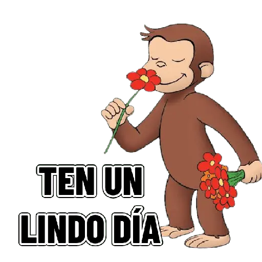 Jorge el curioso 🐒🙈