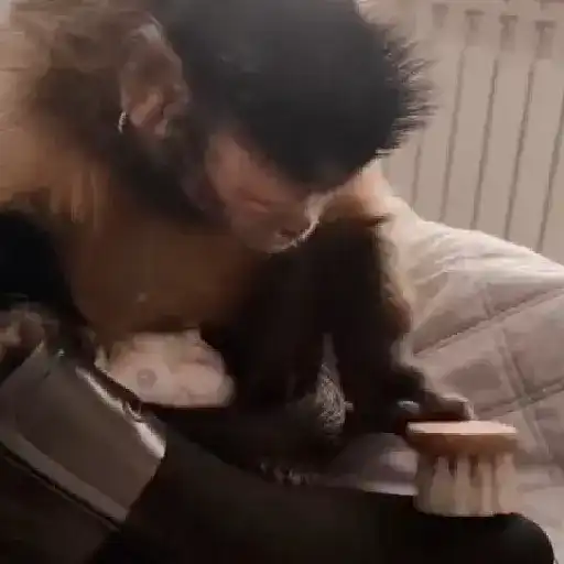 monos y changuitos ⁷ 🦧🦍🐒