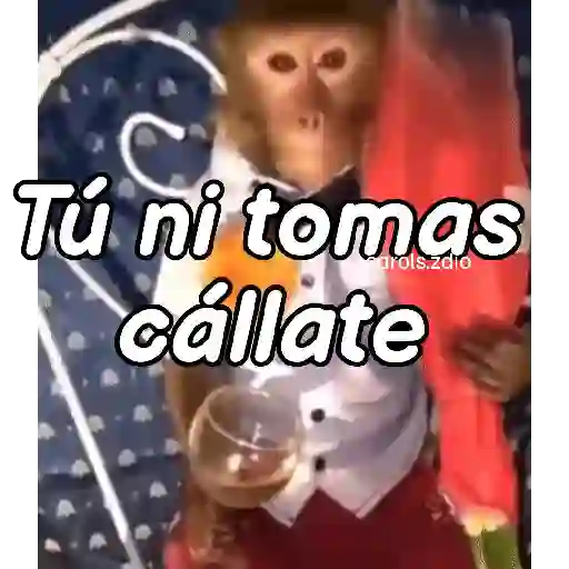 Monos groseros pal chat 🐒🐵