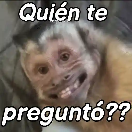 Monos groseros pal chat 🐒🐵 preview
