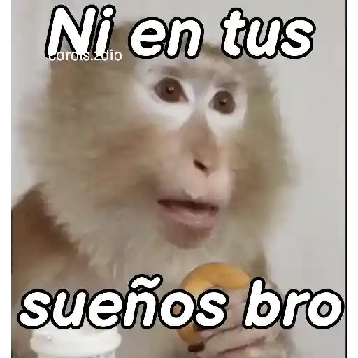 Monos groseros pal chat 🐒🐵