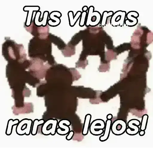 Monos groseros pal chat 🐒🐵 preview