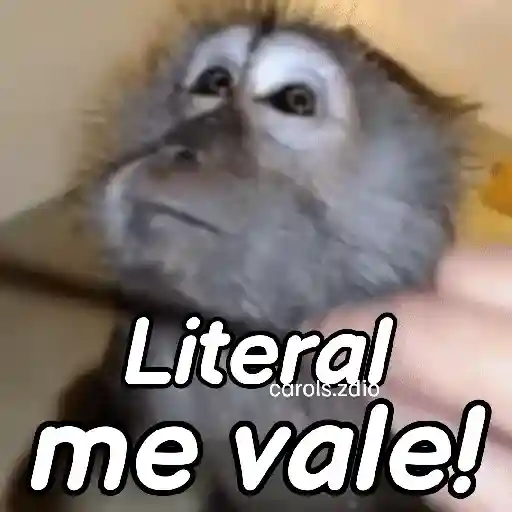 Monos groseros pal chat 🐒🐵
