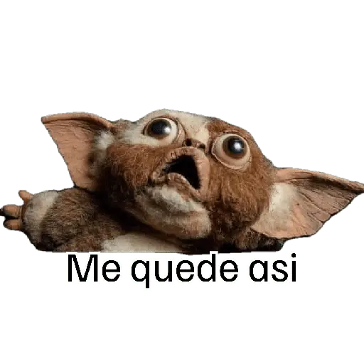 F1_Losmonosdetaco