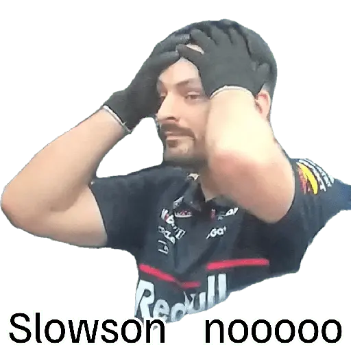 F1_Losmonosdetaco