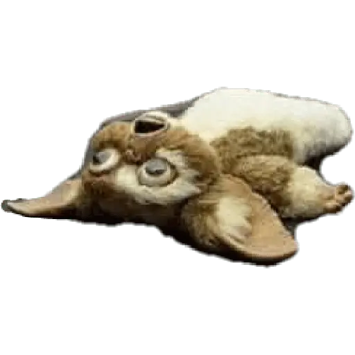 F1_Losmonosdetaco