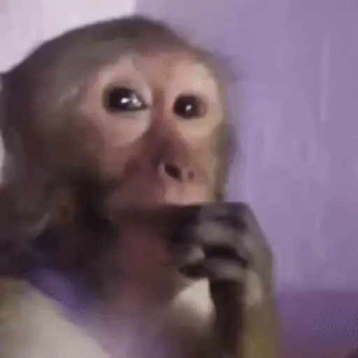 🐒 Monos Random 🇲🇽 🐒