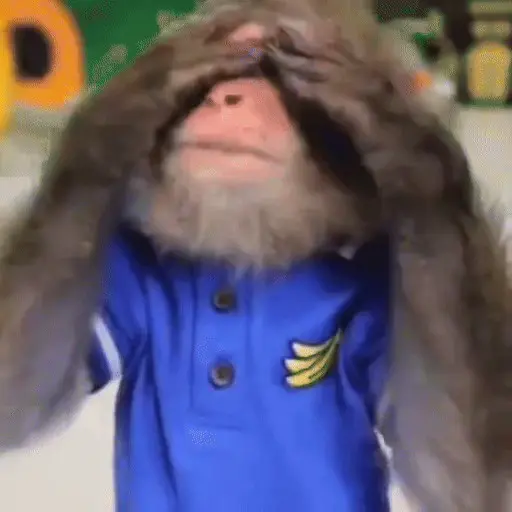 🐒 Monos Random 🇲🇽 🐒