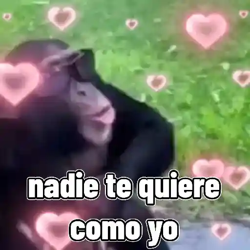 monos🙊