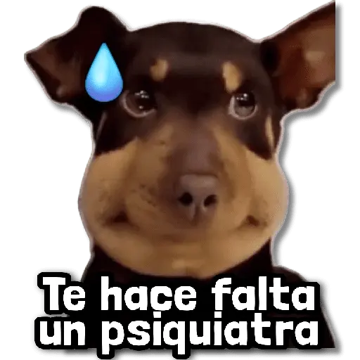 ☢️ Stickers sin Filtro #➊➌ ☢️