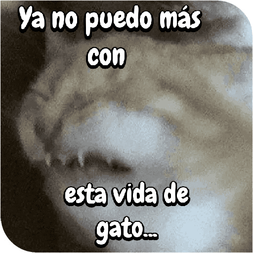 FuNnY MeMes con texto ✨ preview