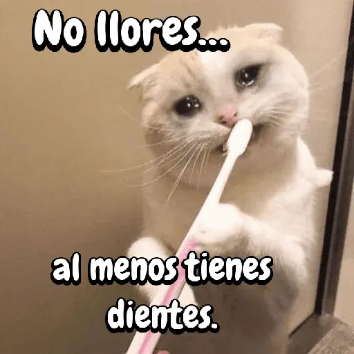 FuNnY MeMes con texto ✨