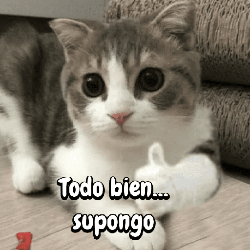 FuNnY MeMes con texto ✨ preview