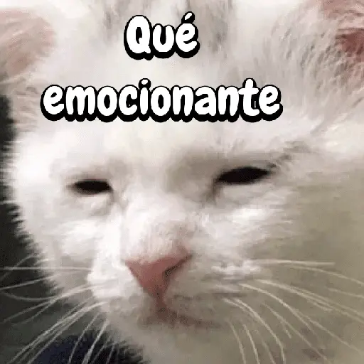 FuNnY MeMes con texto ✨