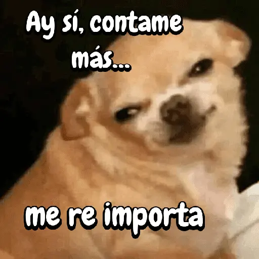 FuNnY MeMes con texto ✨