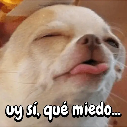 FuNnY MeMes con texto ✨