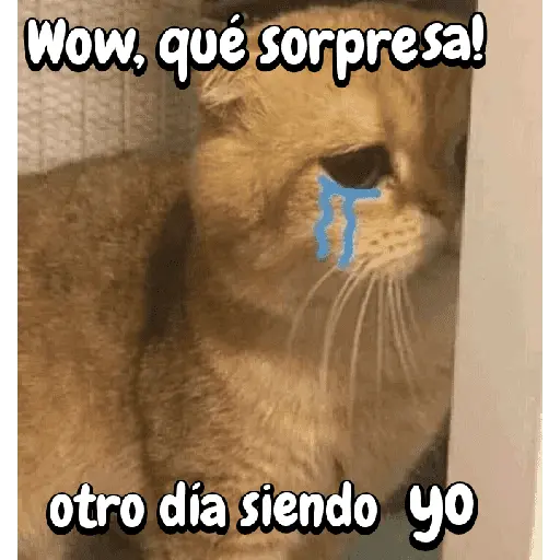 FuNnY MeMes con texto ✨