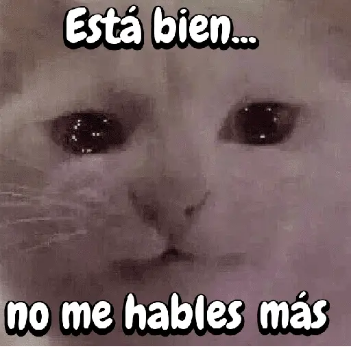 FuNnY MeMes con texto ✨