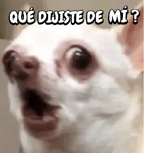 FuNnY MeMes con texto ✨