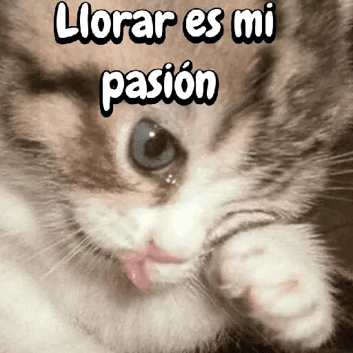 FuNnY MeMes con texto ✨