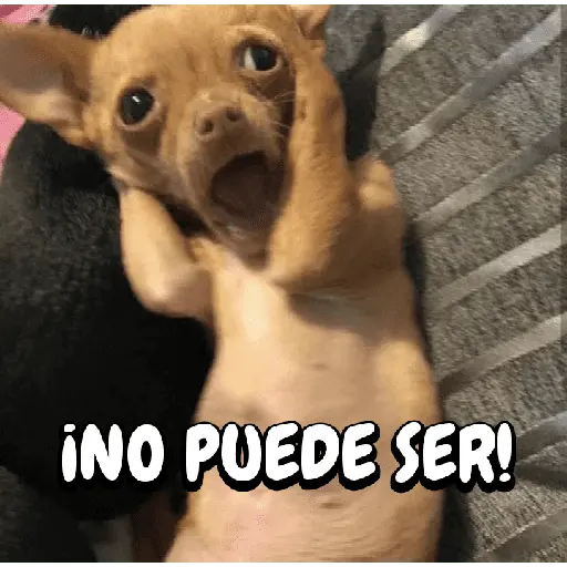 FuNnY MeMes con texto ✨