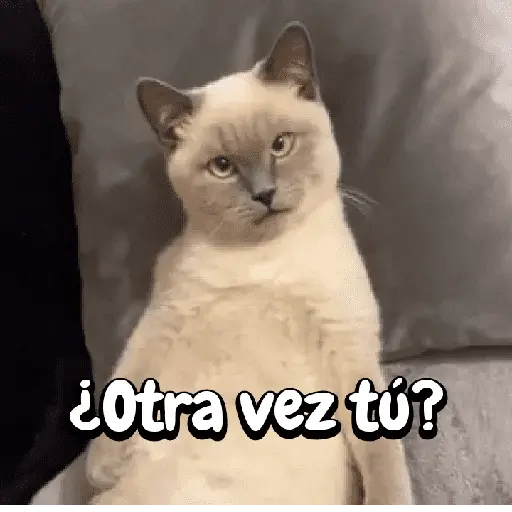 FuNnY MeMes con texto ✨