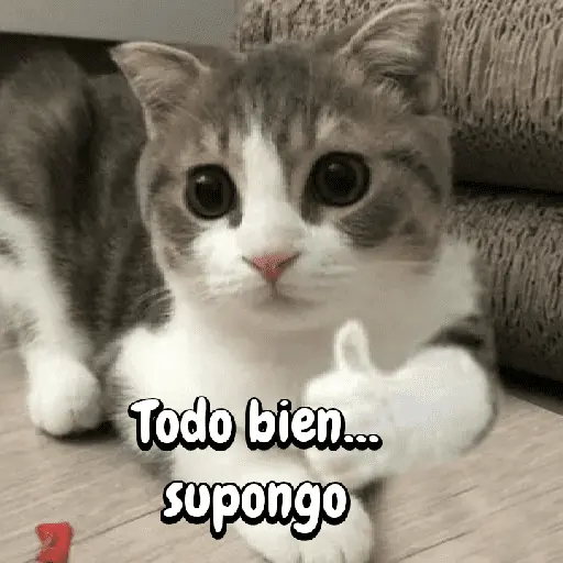 FuNnY MeMes con texto ✨