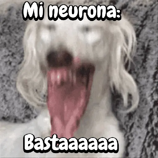 FuNnY MeMes con texto ✨