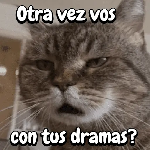 FuNnY MeMes con texto ✨